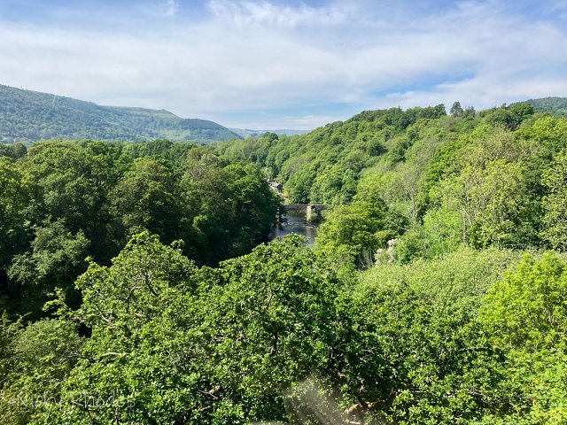 20250511-IMG 0626