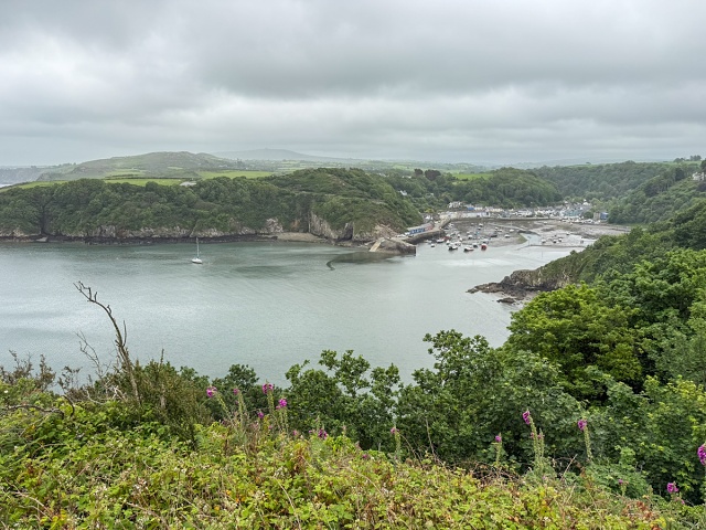 20250531-IMG 0243